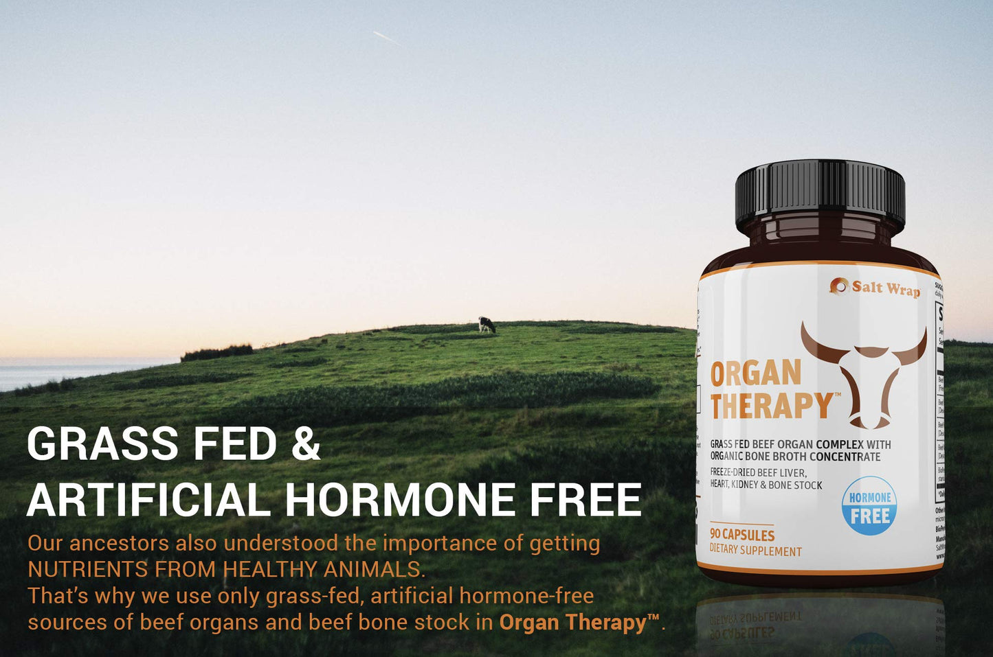 SaltWrap Organ Therapy - Grass Fed Beef Organ Meat Complex Supplement with Organic SaltWrapUS supplements