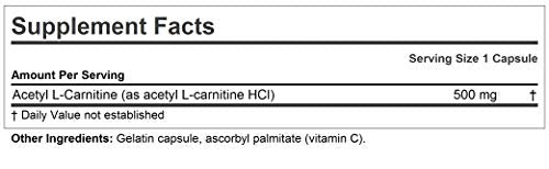 ANDREW LESSMAN Acetyl L-Carnitine 500 mg - 60 Capsules - Support for Nervous System ANDREW LESSMAN Au supplements