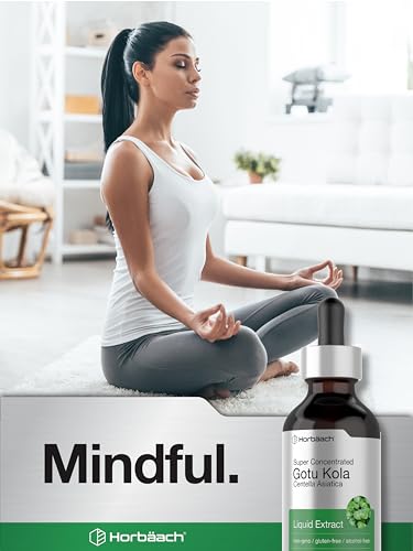 Gotu Kola Extract | 2 fl oz | Alcohol Free | Super Concentrated Liquid Herb Supplement Horbäach Au supplements