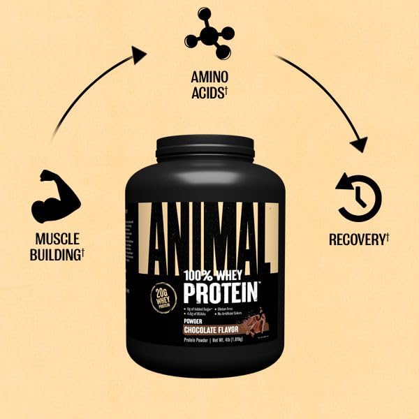 Animal 100% Whey Protein Powder – Whey Blend for Pre- or Post-Workout, Recovery Animal Au supplements