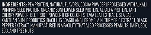 Vega Sport Premium Vegan Protein Powder, Chocolate - 30g Plant Based Protein, 5g BCAA Vega Au supplements