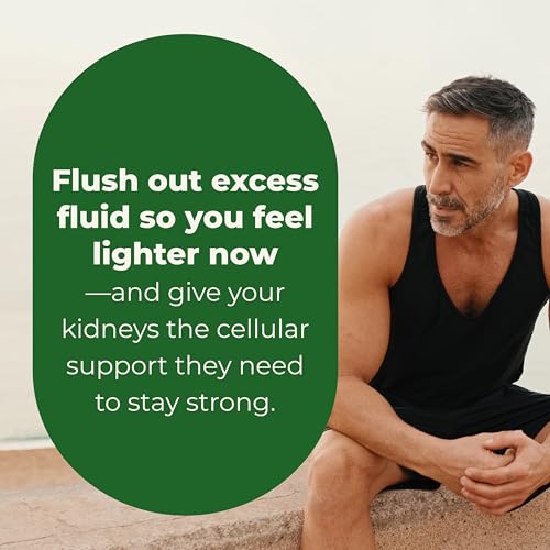 LifeSeasons Kidney Support Supplement – Cellular Protection with NAC, Alpha Lipoic Acid, Resveratrol, Burdock Root & Vitamin D3 – Supports Detox, Oxidative Stress & Renal Function – 120 Capsules LifeSeasons Au supplements