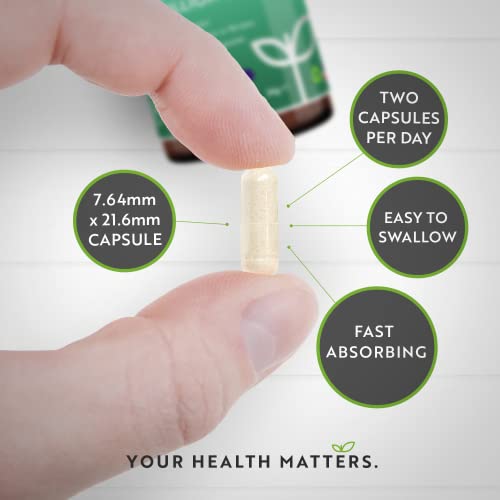 60 Billion CFU Probiotic Cultures - Scientifically Backed Lactospore® for Good Gut Flora Nutravita Au supplements