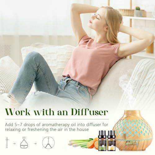 Essential Oils Set - 12 Pcs Aromatherapy Essential Oil Kit for Diffuser, Humidifier, Aromatherapy, Massage AeshoryUS supplements