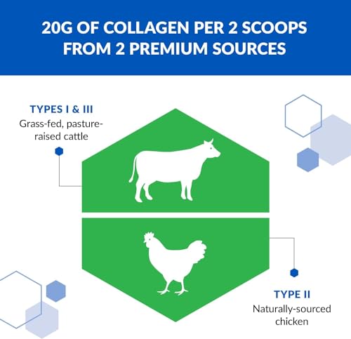 BioTrust Tri Collagen Powder - 3-in-1 Hydrolyzed Collagen Peptides Powder BioTrust Au supplements