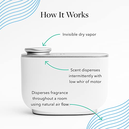 Aera Majestic Fir Home Fragrance Scent Refill - Notes of Fir and Juniper - Works with The Aera Diffuser AERA Au supplements