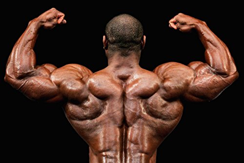 Muscle Pump pre Workout - Nitric Oxide 2400mg Muscle Pump, Extreme Strength Health Solution Prime Au supplements