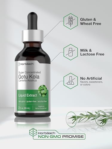 Gotu Kola Extract | 2 fl oz | Alcohol Free | Super Concentrated Liquid Herb Supplement Horbäach Au supplements