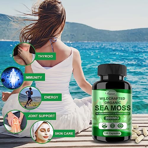 Fleamart 2 Pack Irish Sea Moss Capsules 120ct Raw Organic Sea Moss Wildcrafted Bladder Fleamart Au supplements