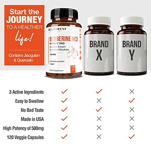 Premium Berberine HCL 730mg - 120 VCAPS Perfect Trio Complex with Non-GMO Jiaogulan Benevolent Nourishment Au supplements