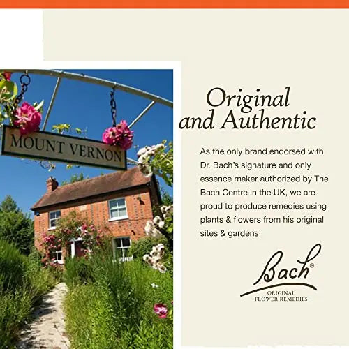 Bach Original Flower Remedies, Rock Rose for Courage (Non-Alcohol Formula), Natural Homeopathic Bach uk supplements