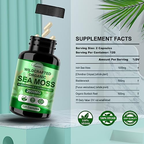 Fleamart 2 Pack Irish Sea Moss Capsules 120ct Raw Organic Sea Moss Wildcrafted Bladder Fleamart Au supplements