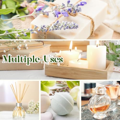 Essential Oils Set - 12 Pcs Aromatherapy Essential Oil Kit for Diffuser, Humidifier, Aromatherapy, Massage AeshoryBuy Supplements Australia