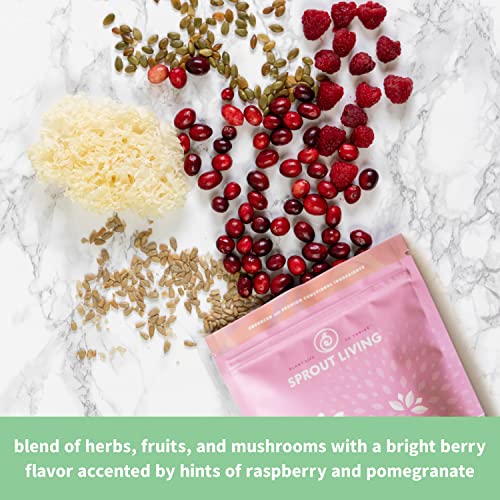 Sprout Living Epic Protein, Plant Based Protein & Superfoods Powder, Pro Collagen, Sprout Living Au supplements