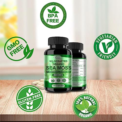 Fleamart 2 Pack Irish Sea Moss Capsules 120ct Raw Organic Sea Moss Wildcrafted Bladder Fleamart Au supplements