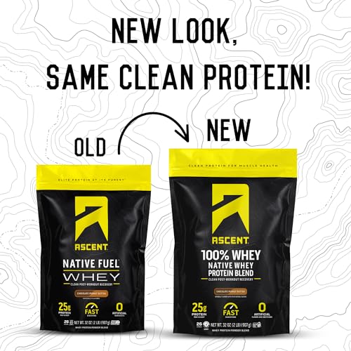 Ascent 100% Whey Protein Powder - Post Workout Whey Protein Isolate, Zero Artificial Ascent Au supplements
