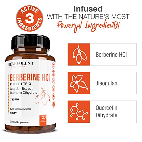 Premium Berberine HCL 730mg - 120 VCAPS Perfect Trio Complex with Non-GMO Jiaogulan Benevolent Nourishment Au supplements