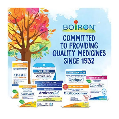 Boiron Histaminum Hydrochloricum 6C 80 Pellets Homeopathic Medicine for Allergy Relief BoironAU supplements