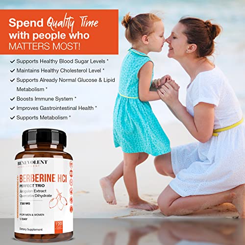 Premium Berberine HCL 730mg - 120 VCAPS Perfect Trio Complex with Non-GMO Jiaogulan Benevolent Nourishment Au supplements