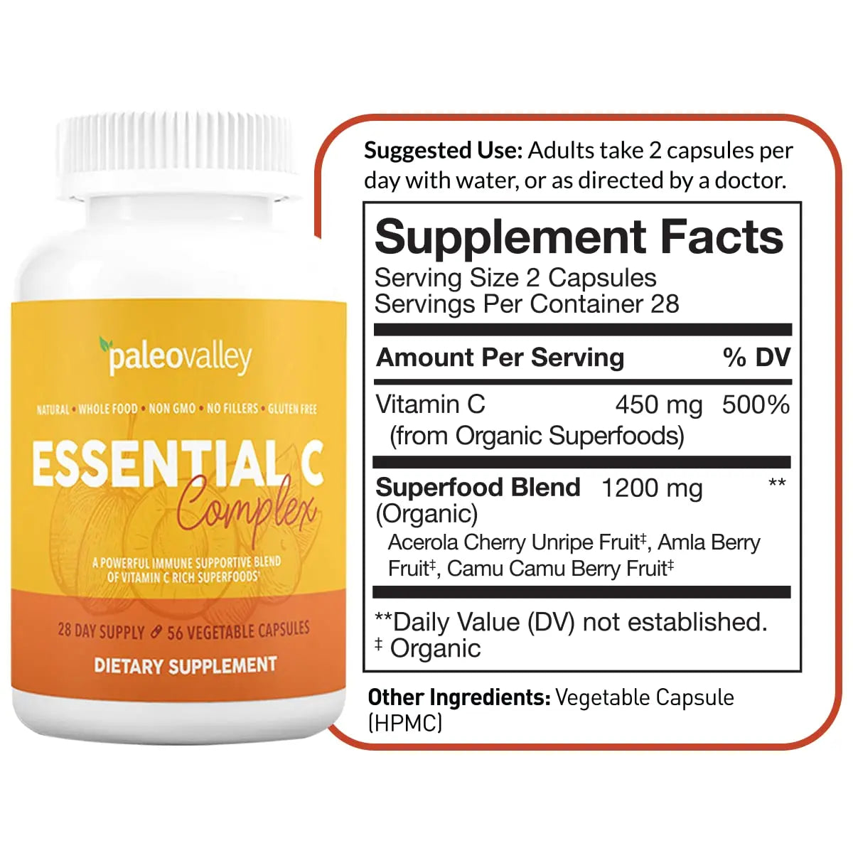 Paleovalley Essential C Complex - Vitamin C Supplement for Immune Support - 1 Pack, 450mg - Organic Superfoods Unripe Acerola Cherry, Camu Camu, Amla Berry - No Synthetic Ascorbic Acid - USA Made Paleovalley Au supplements