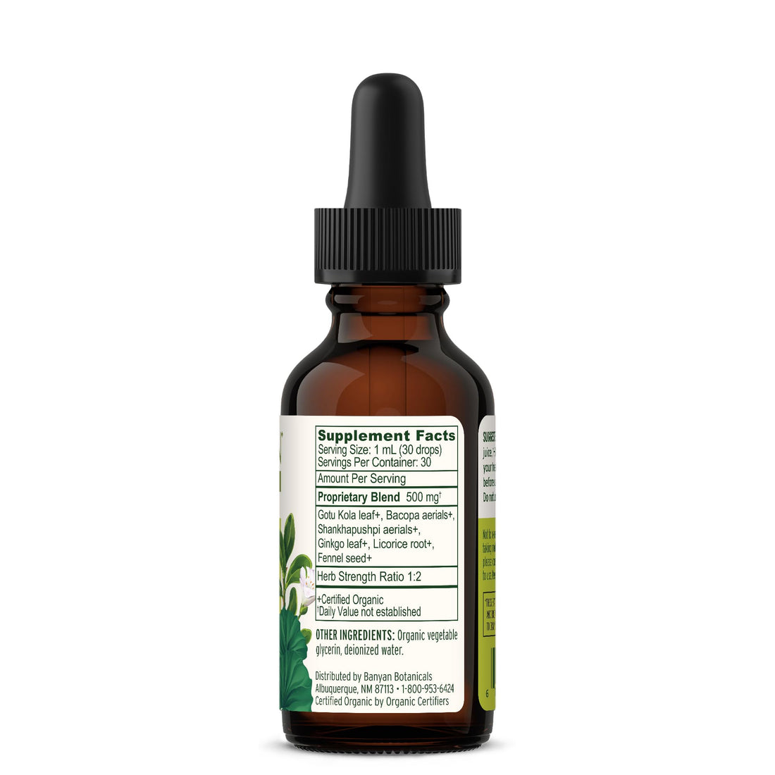 Banyan Botanicals Focus Liquid Extract – Organic Focus Supplement – Liquid Extract in Non-Alcoholic Glycerin – Nootropic Herbs for Fast-Acting Support* – 1 oz. – Non-GMO Sustainably Sourced Vegan Banyan Botanicals uk supplements