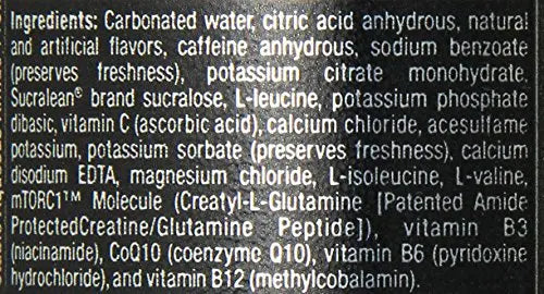 Bang Energy Power Punch, Sugar-Free Energy Drink, 16-Ounce (Pack of 12) BANG uk supplements