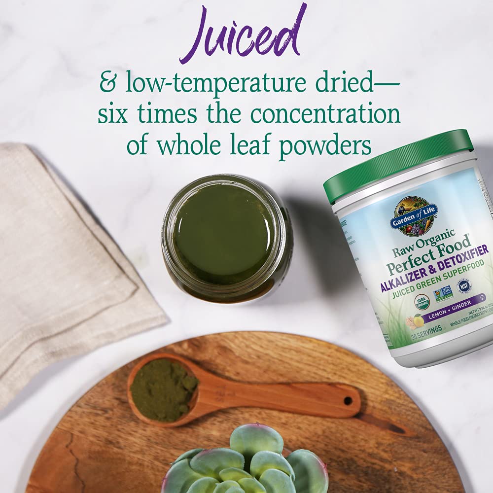 Garden of Life Raw Organic Perfect Food Alkalizer & Detoxifier Juiced Greens Superfood Garden of Life Au supplements