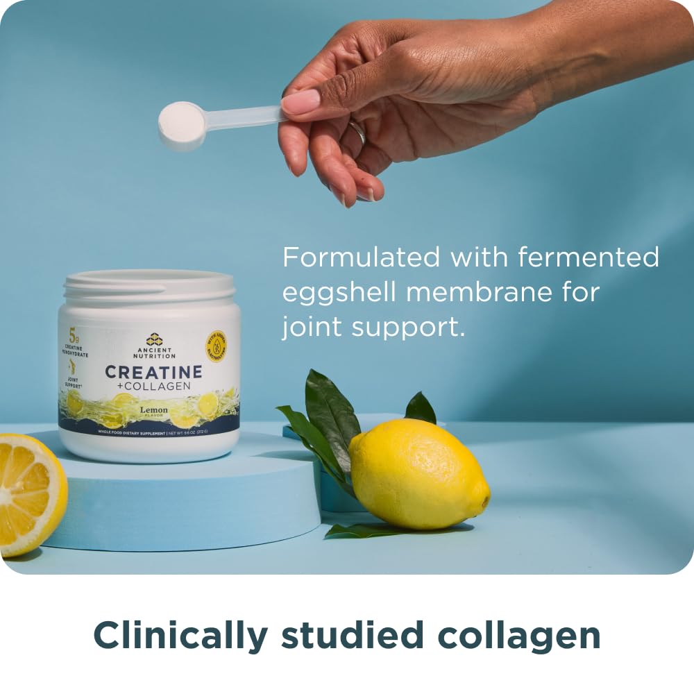 Ancient Nutrition Creatine + Collagen – Muscle Strength, Lean Body Mass, Joint Comfort & Cognitive Support – Includes 5g Creatine Monohydrate for Women + Electrolytes, Lemon, 30 Servings Ancient Nutrition Au supplements
