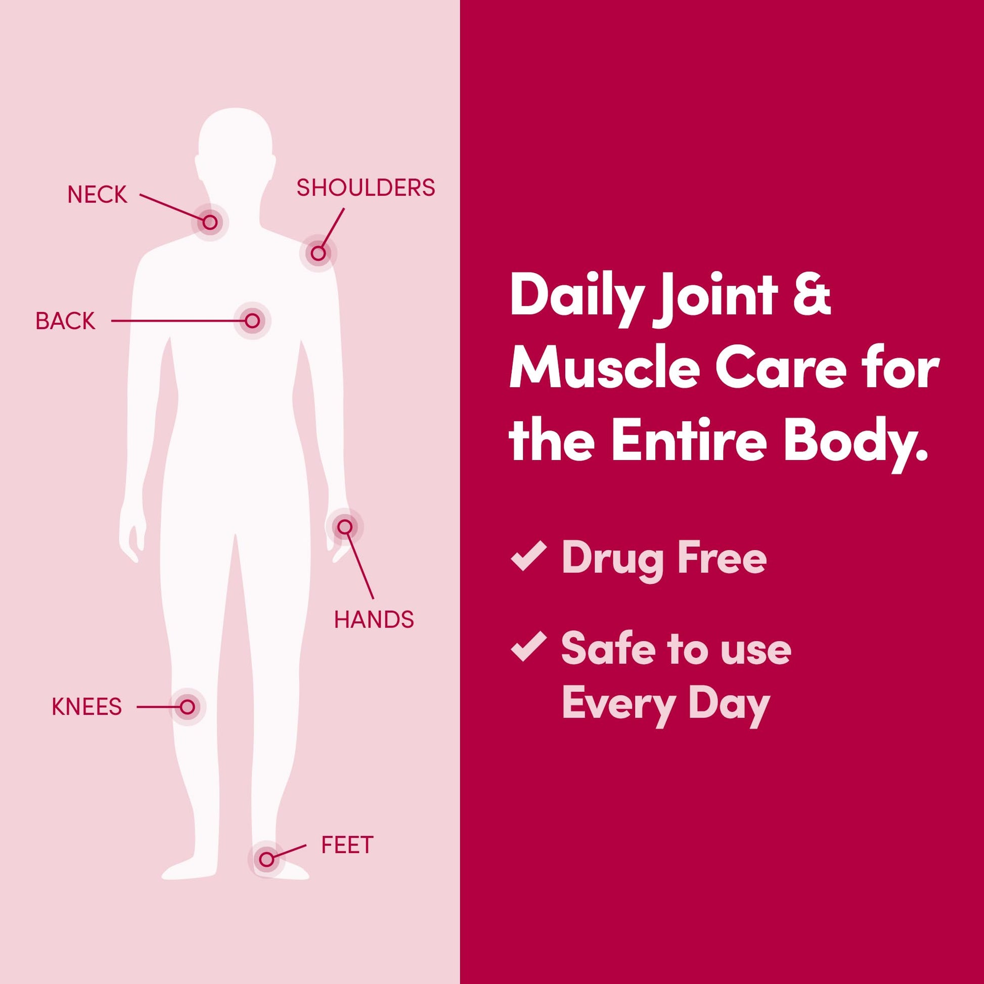 Penetrex Daily Joint & Muscle Care Cream – Soothing Botanical Formula with Arnica, Vitamin B6 & MSM – Lightweight Fast-Absorbing Cream for Everyday Movement - Non-Greasy - Light Scent- 2 oz Penetrex Au supplements