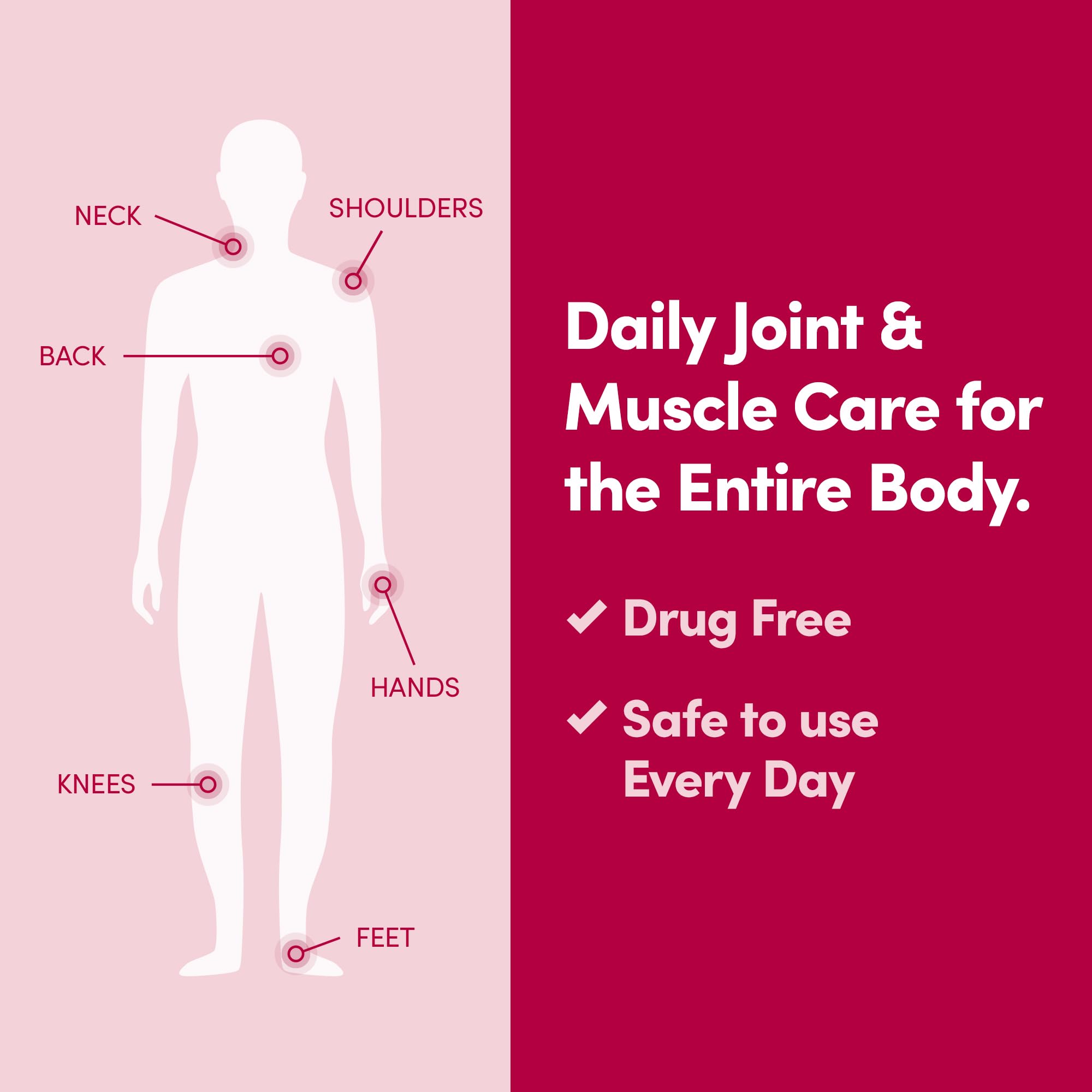 Penetrex Daily Joint & Muscle Care Cream – Soothing Botanical Formula with Arnica, Vitamin B6 & MSM – Lightweight Fast-Absorbing Cream for Everyday Movement - Non-Greasy - Light Scent- 2 oz Penetrex Au supplements