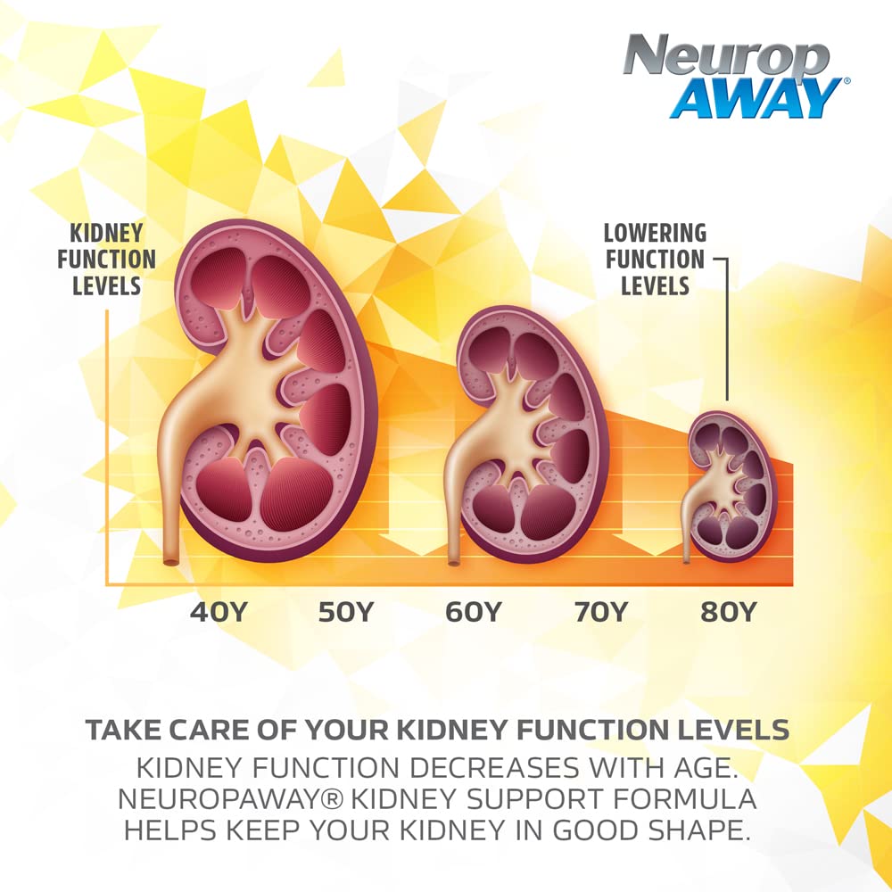 NeuropAWAY Kidney Support Formula Sugar Free with Agmatine Sulfate 500mg L-Novaline 50mg L-Ornithine 150mg L-Citrulline 100mg Per Capsule 90CT Fast Acting Kidney Support NeuropAWAY Au supplements