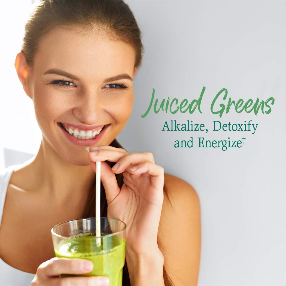 Garden of Life Raw Organic Perfect Food Alkalizer & Detoxifier Juiced Greens Superfood Garden of Life Au supplements