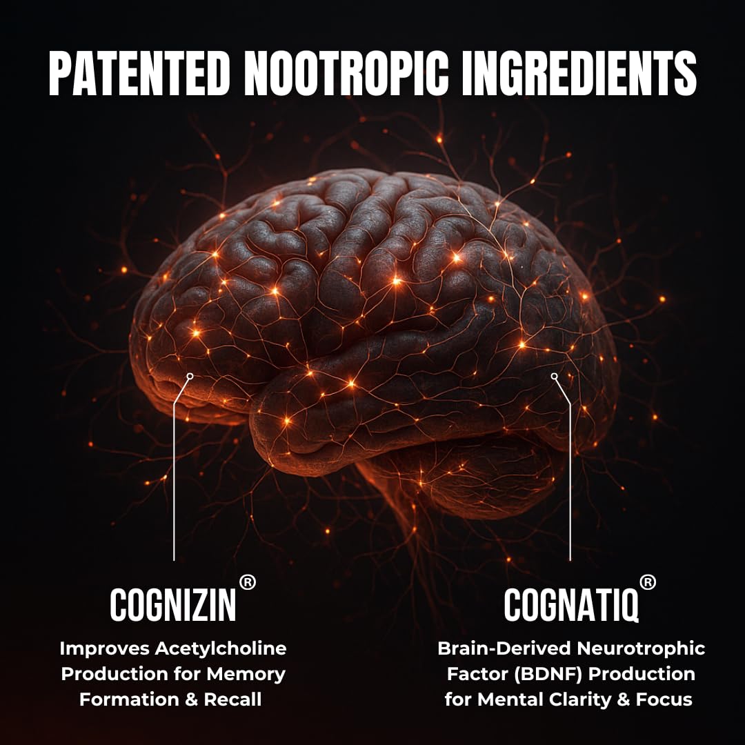 All-Natural Brain Supplement for Memory and Focus - Caffeine-Free Long-Term Cognitive Support - 10 Nootropic Ingredients Including Lion’s Mane, Bacopa, Turmeric, Ginkgo & Huperzine A - 90 Capsules HUMBLEROOTS PERFORMANCE Au supplements