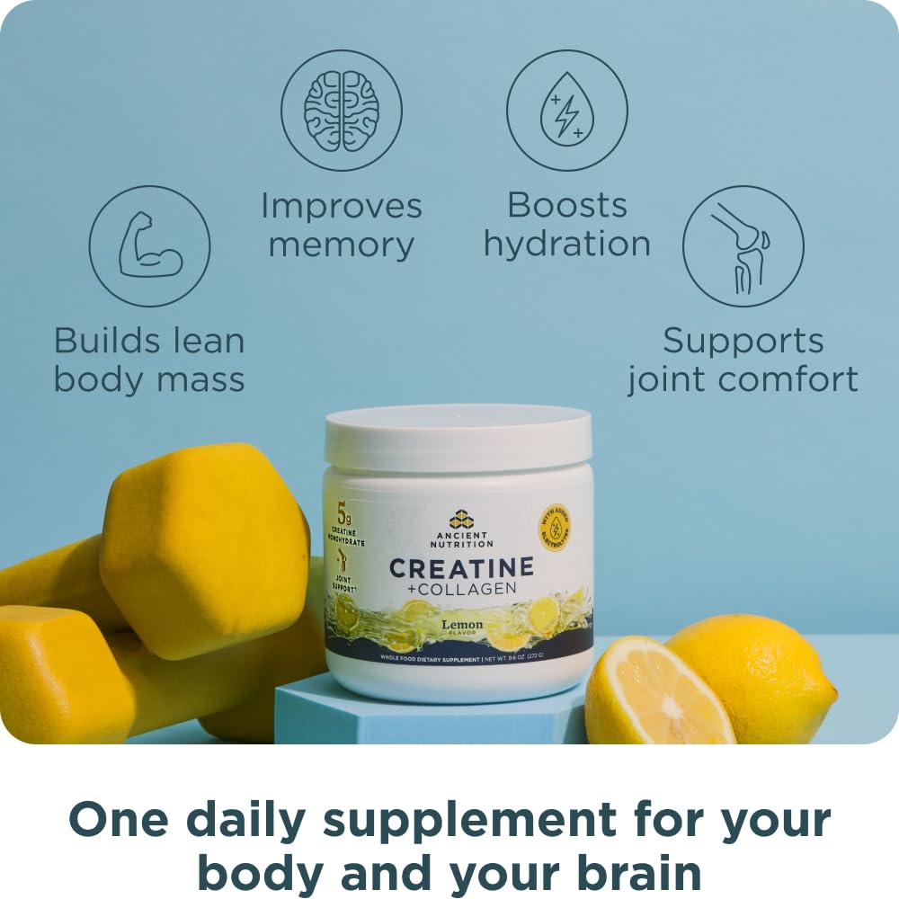 Ancient Nutrition Creatine + Collagen – Muscle Strength, Lean Body Mass, Joint Comfort & Cognitive Support – Includes 5g Creatine Monohydrate for Women + Electrolytes, Lemon, 30 Servings Ancient Nutrition Au supplements
