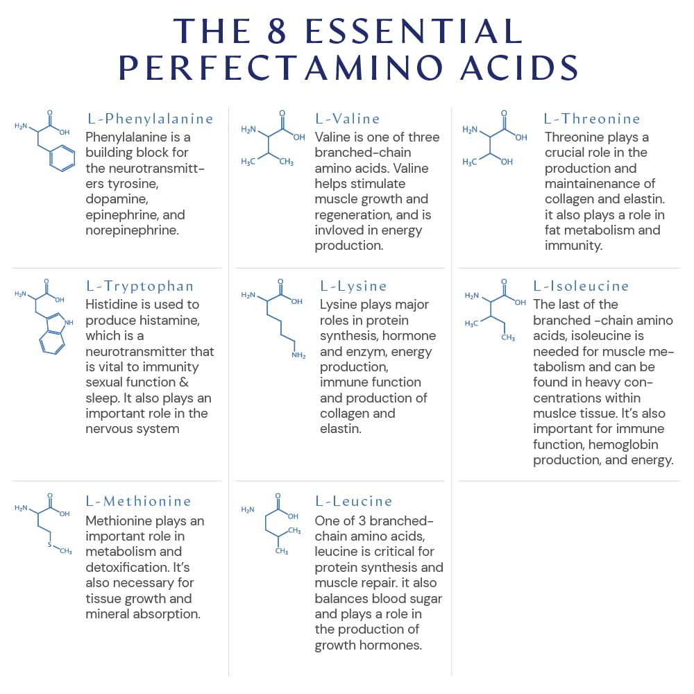BodyHealth PerfectAmino (150 ct) Easy to Swallow Tablets, Essential Amino Acids Supplement BodyHealth Au supplements