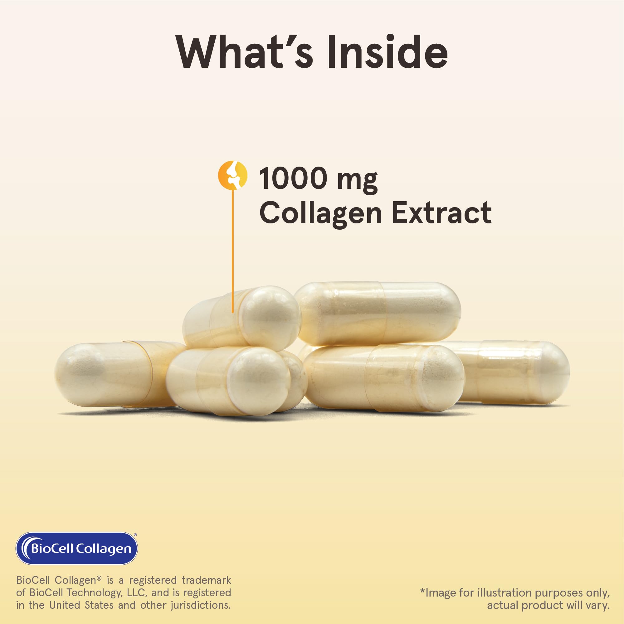 Jarrow Formulas® Type II Collagen Complex 1000 mg Supplements, Supports Skin and Joint Health, 60 Capsules, 30 Day Supply Jarrow Formulas Au supplements