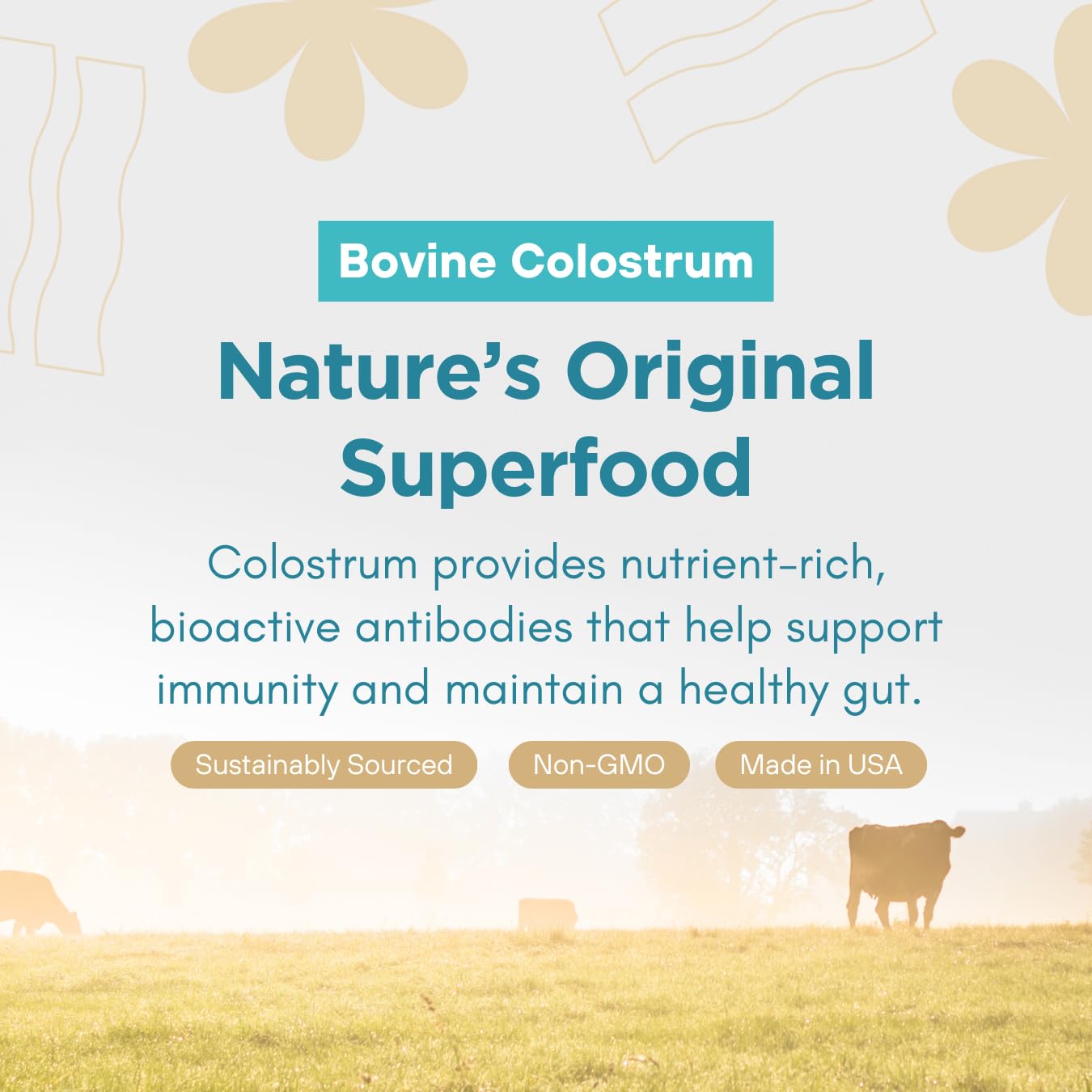 360 Nutrition Blends with Benefits Bovine Colostrum + Collagen Peptides Powder for Gut Health, Hair & Skin Beauty, Immune Support | Grass-Fed, No Added Sugar, Unflavored 6 oz 360 Nutrition Au supplements