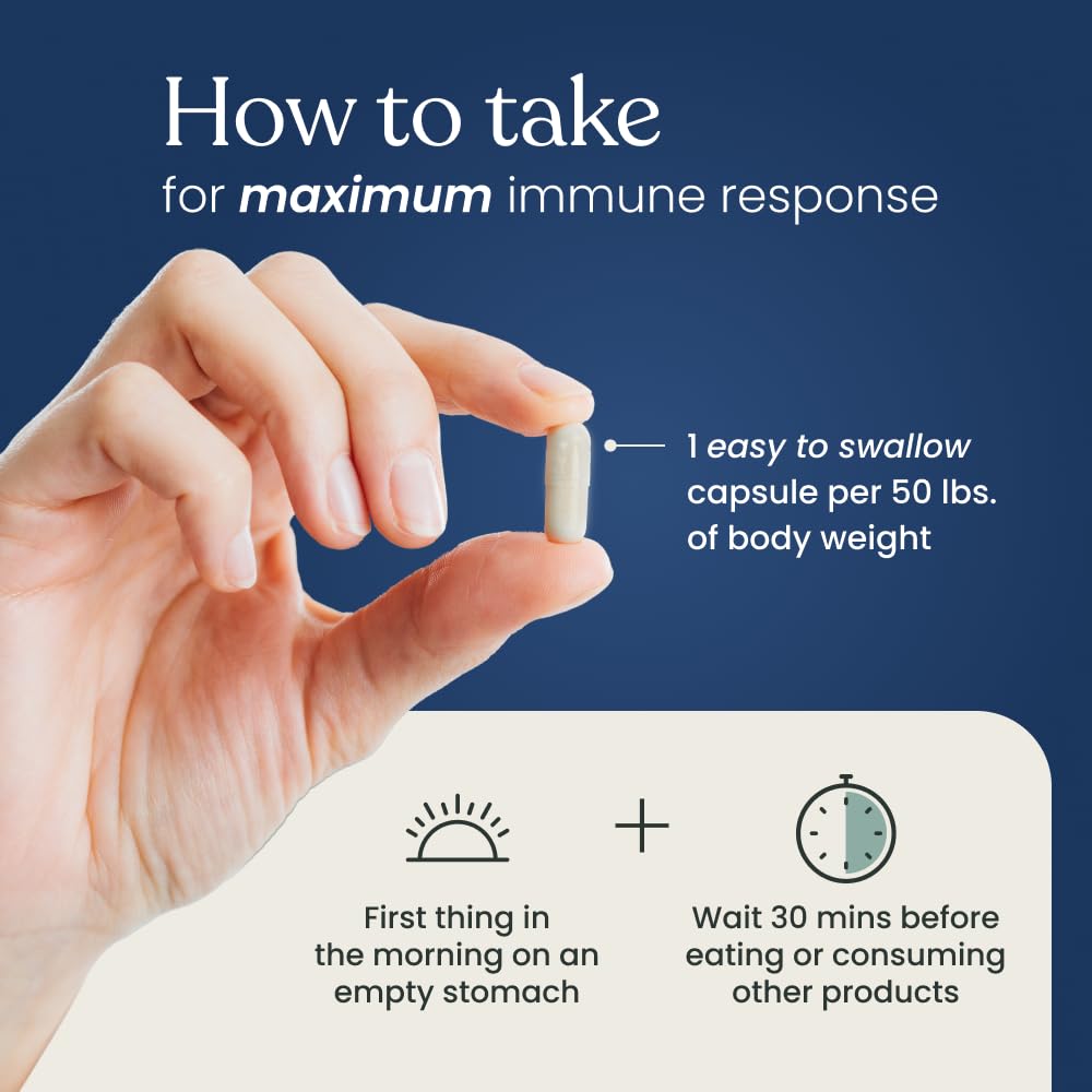 Better Way Health™ - Advanced Immune Readiness - Highly Purified 1,3/1,6 Beta Glucan 500 - Clinically Tested Immune Defense - 500mg/60 Capsules (Pack of 1) Better Way Health Au supplements