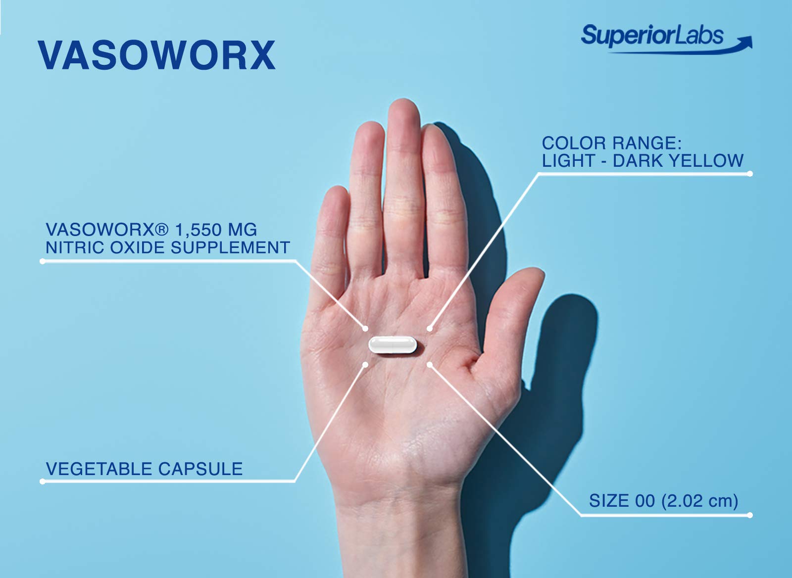 Superior Labs – VASOWORx  – Nitric Oxide Supplement – Extra Strength - 1,600 mg Superior Labs Au supplements