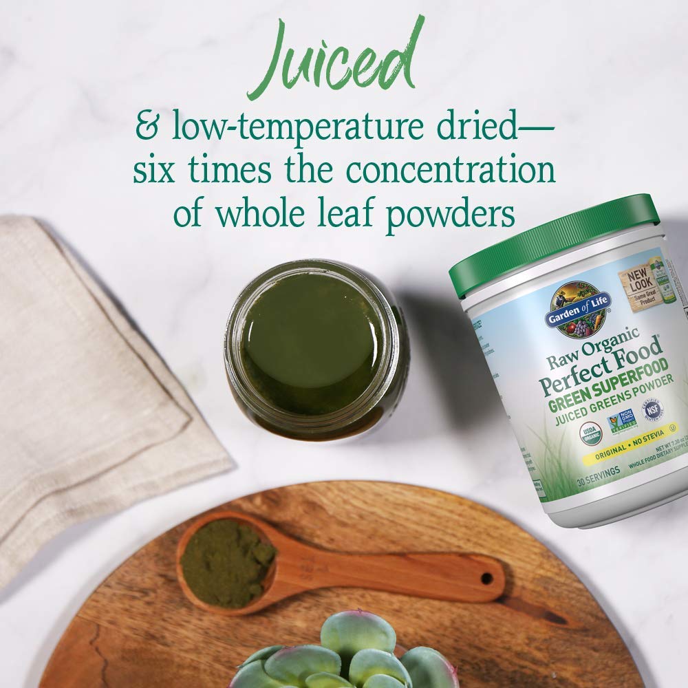 Garden of Life Raw Organic Perfect Food Alkalizer & Detoxifier Juiced Greens Superfood Garden of Life Au supplements