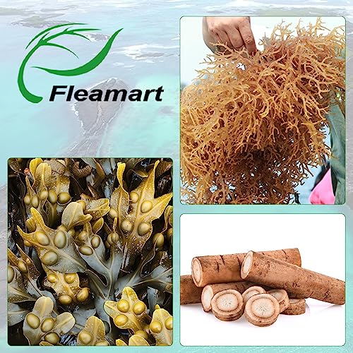 Fleamart 2 Pack Irish Sea Moss Capsules 120ct Raw Organic Sea Moss Wildcrafted Bladder Fleamart Au supplements