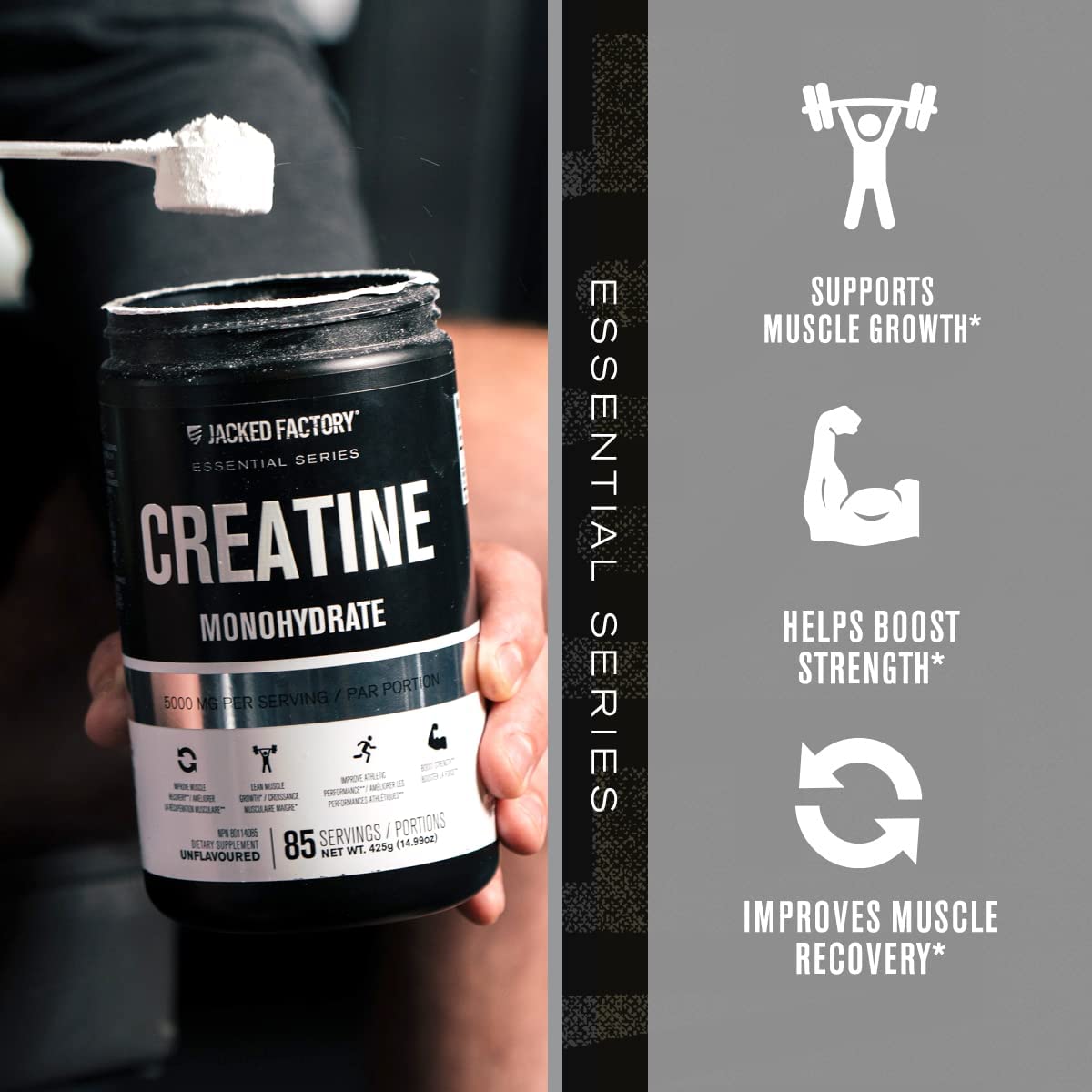 Nitrosurge Pre-Workout & Creatine Monohydrate - Pre Workout Powder With Creatine Jacked Factory Au supplements