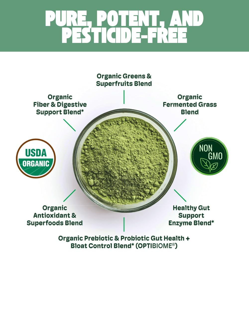 Cheerific Crisp Apple Greens Superfood Powder - 20+ Organic Superfoods + Prebiotic & Probiotics + More - Keto Friendly - Supports Positive Mood, Gut Health - Vegan, Gluten Free, Non-GMO - 30 Day Cheerific Au supplements