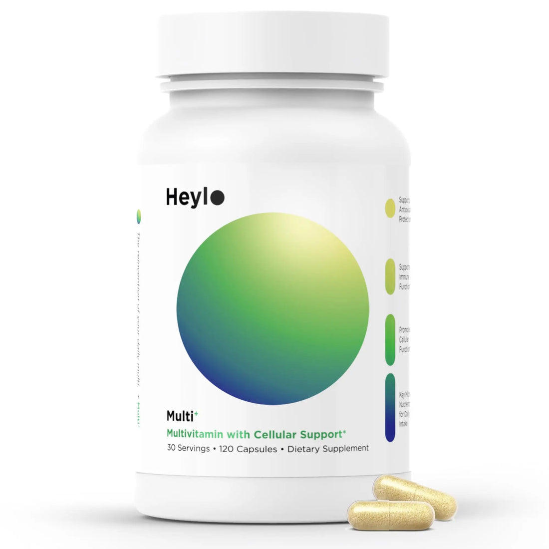 Heylo Multi+ Advanced Multivitamin Supplement – Boosts Energy, Enhances Immune Support, Provides Antioxidant Protection, Promotes Detoxification Heylo Health uk supplements
