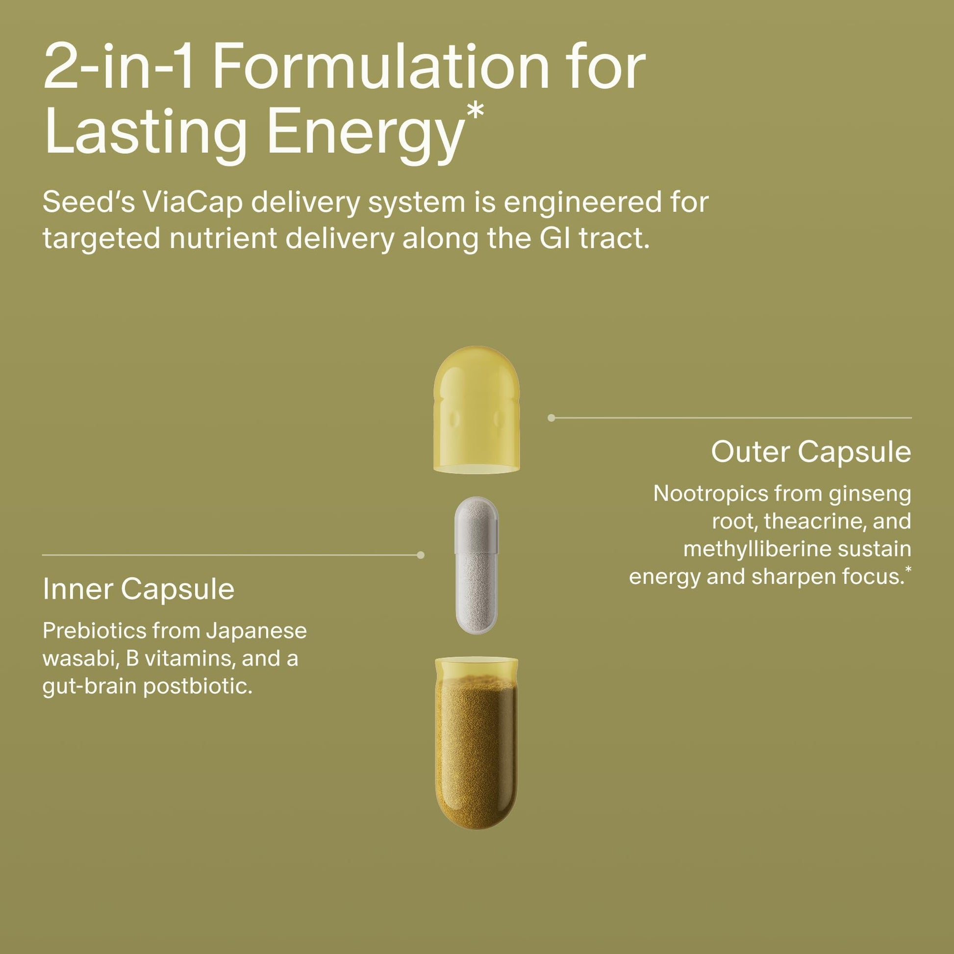 Seed AM-02 Energy + Focus - Daily Nootropic Supplement for Women & Men - Fast-Acting & Sustained Energy for Up to 6 Hours - Caffeine-Free Vegan & Shelf-Stable - 30 Capsules (30-Day Supply) Seed buy supplements Au