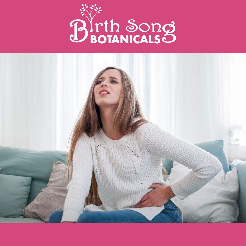 Birth Song Botanicals Menstrual Harmony Tincture, Herbal Period Symptom Support Birth Song Botanicals Au supplements