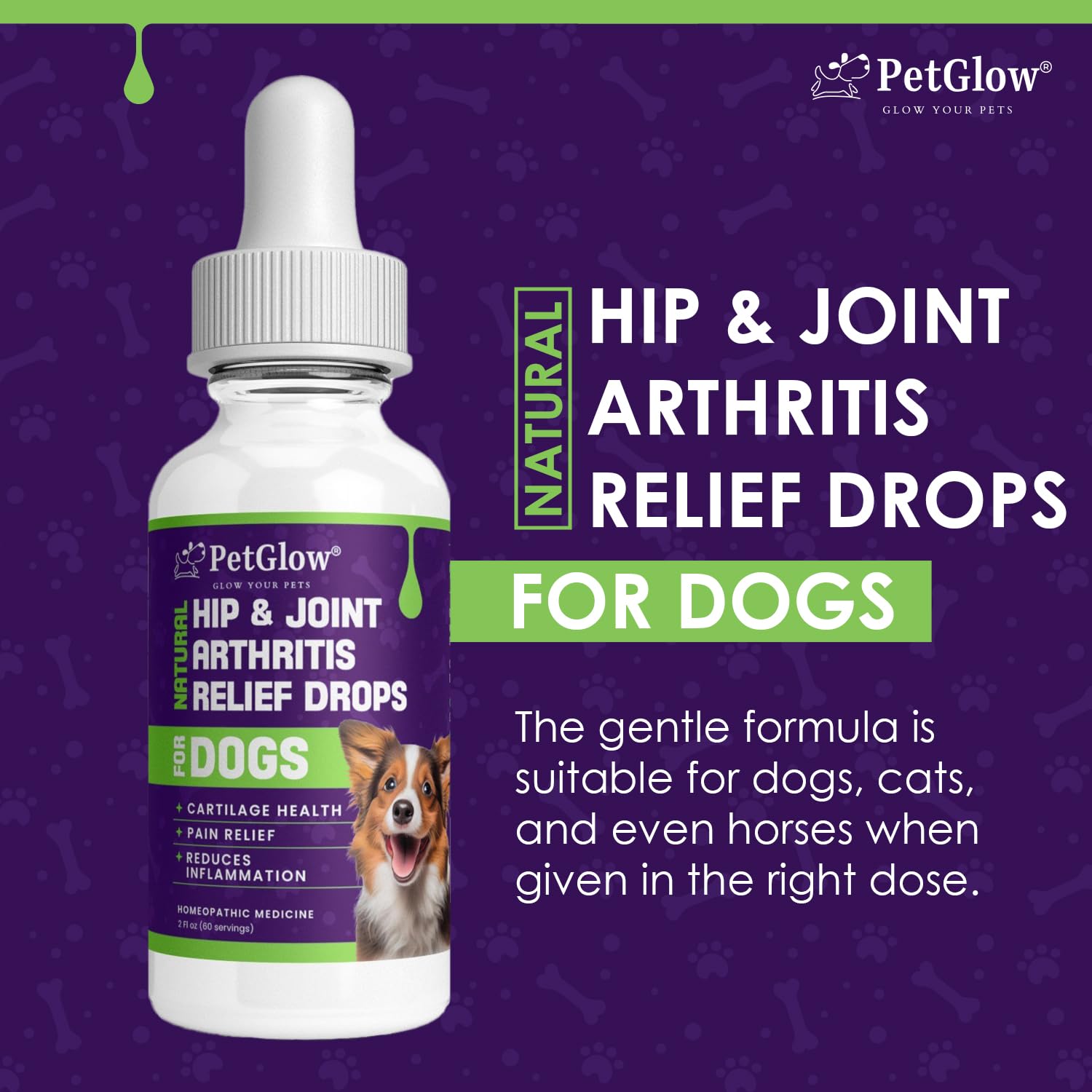 Petglow® Natural Hip & Joint Arthritis Relief Drops with Curcumin & Boswellia, Homeopathic Anti-Inflammatory Formula for Dogs, Cats & Horses, Supports Flexibility, Comfort & Mobility Naturally Petglow Au supplements