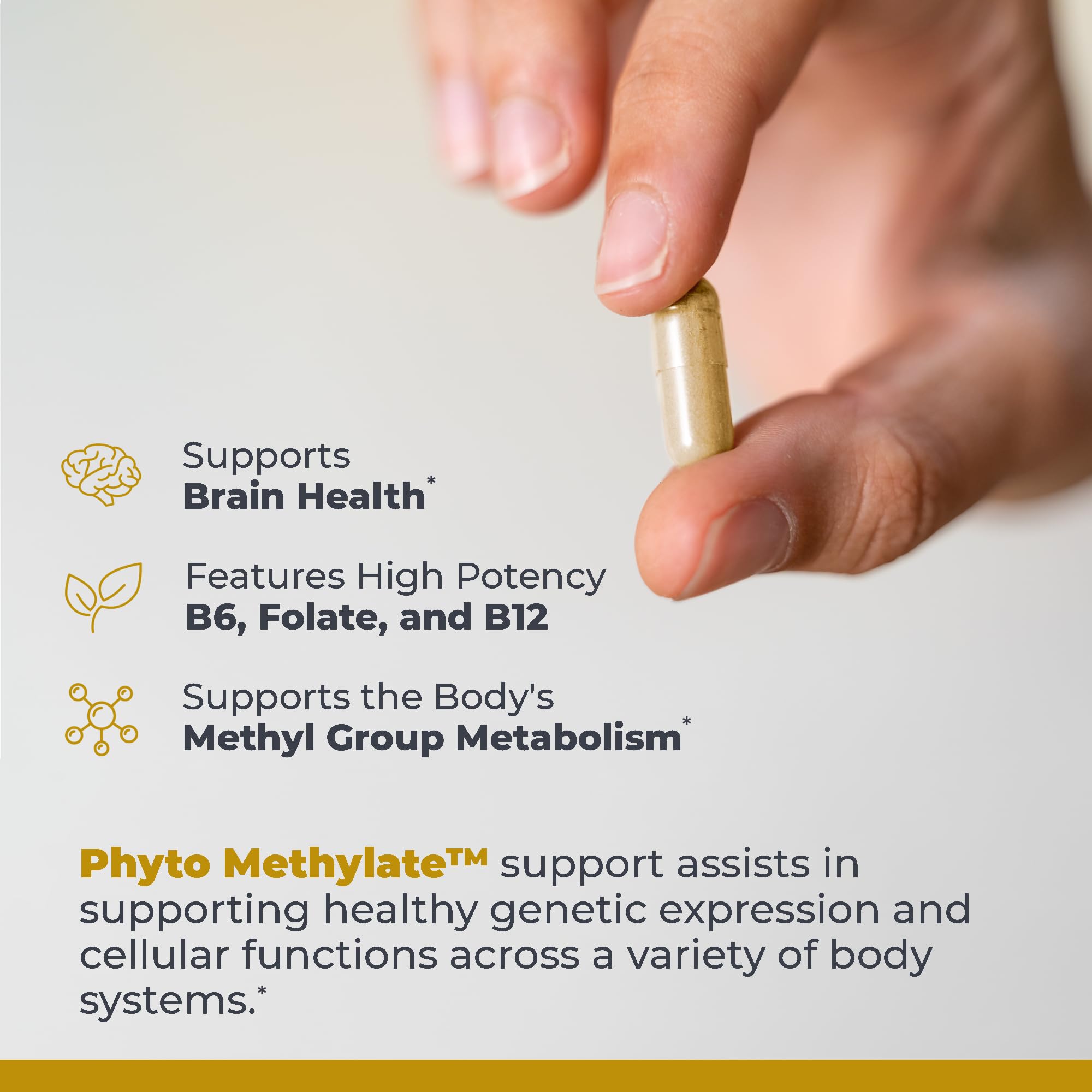 Premier Research Labs Phyto Methylate - B Vitamin Supplement - Supports Methylation, Detox, Brain & Heart Health - 5-MTHF & P5P - 60 Plant-Source Capsules Premier Research Labs Au supplements