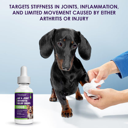 Petglow® Natural Hip & Joint Arthritis Relief Drops with Curcumin & Boswellia, Homeopathic Anti-Inflammatory Formula for Dogs, Cats & Horses, Supports Flexibility, Comfort & Mobility Naturally PetglowAu supplements
