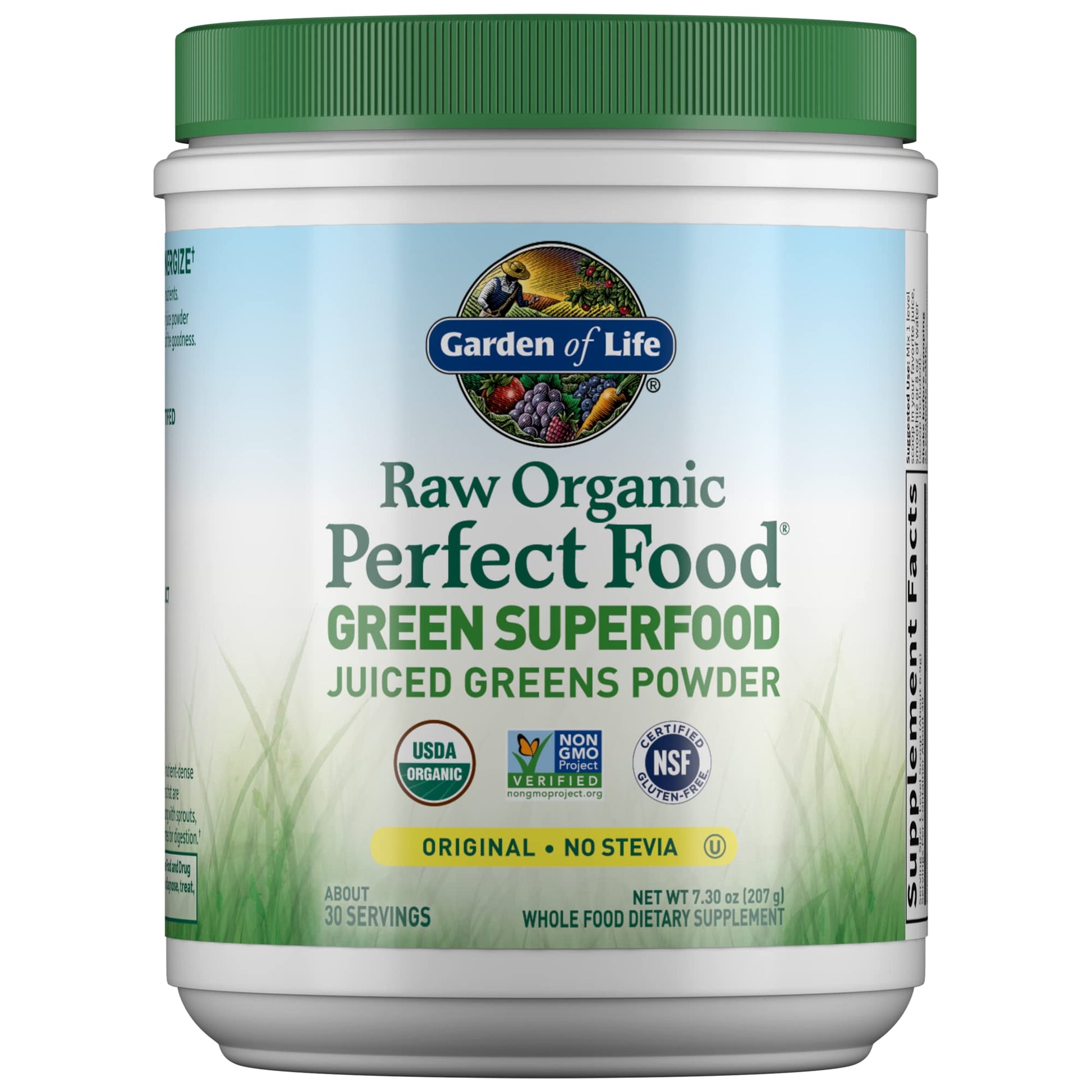 Garden of Life Raw Organic Perfect Food Alkalizer & Detoxifier Juiced Greens Superfood Garden of Life Au supplements